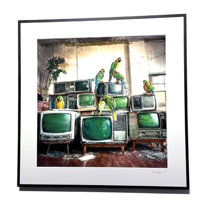 Peintographies "Mid size"