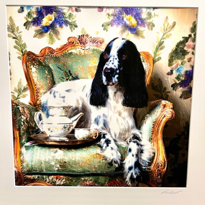 Chien à la théière