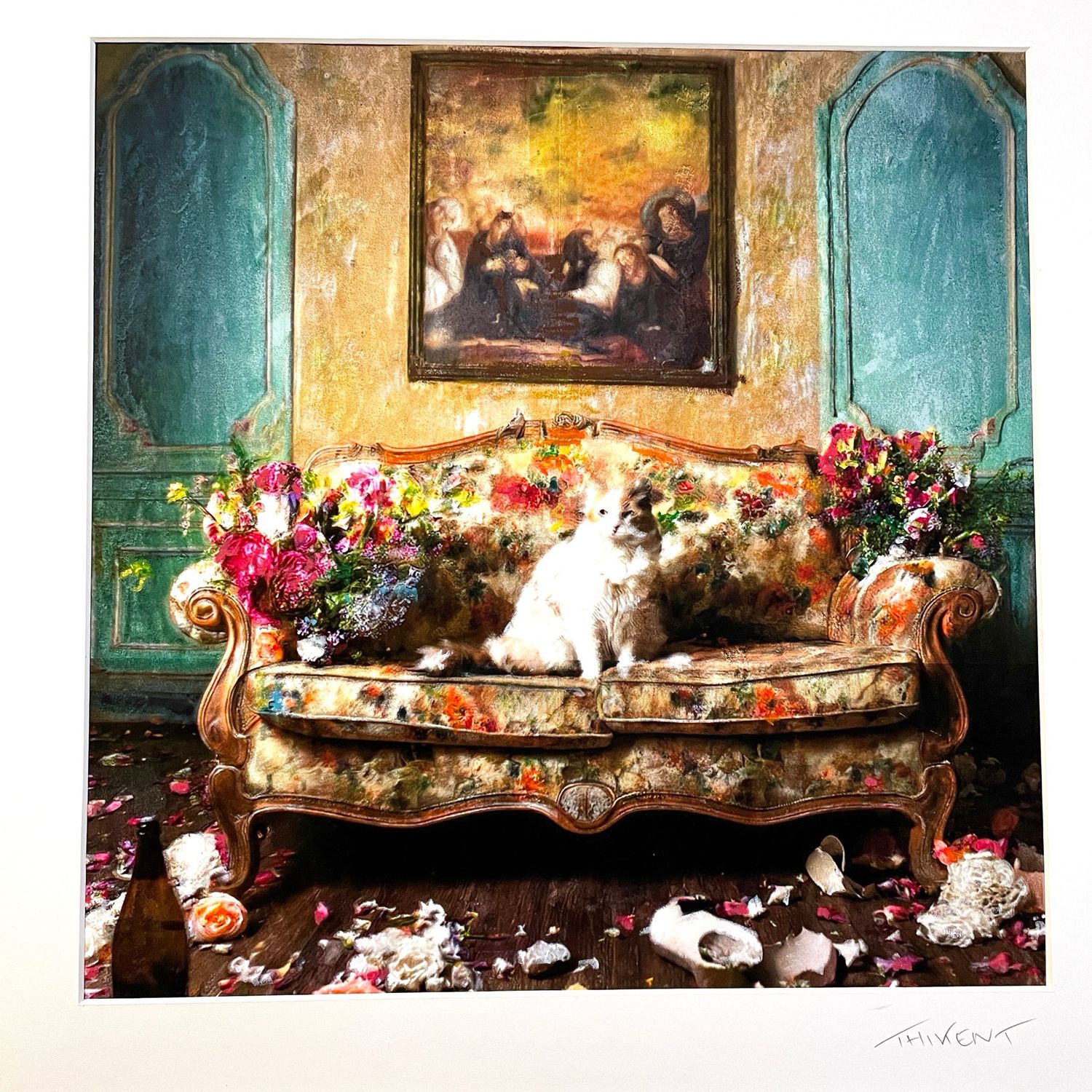 Chat sur canapé