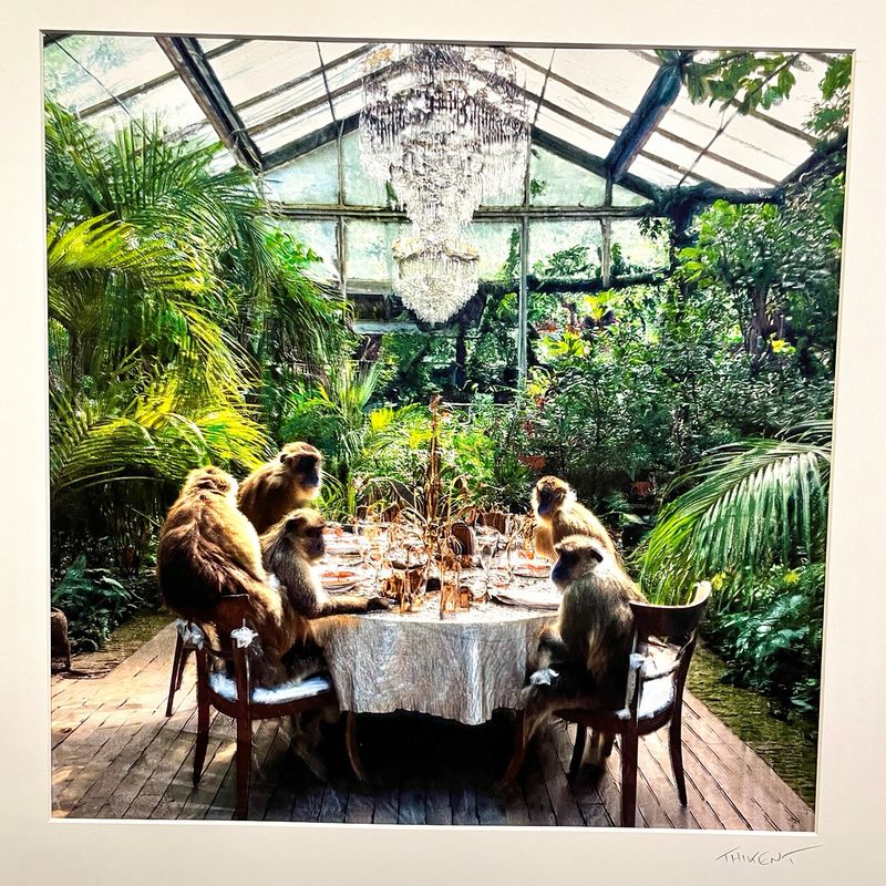 Banquet de chimpanzés