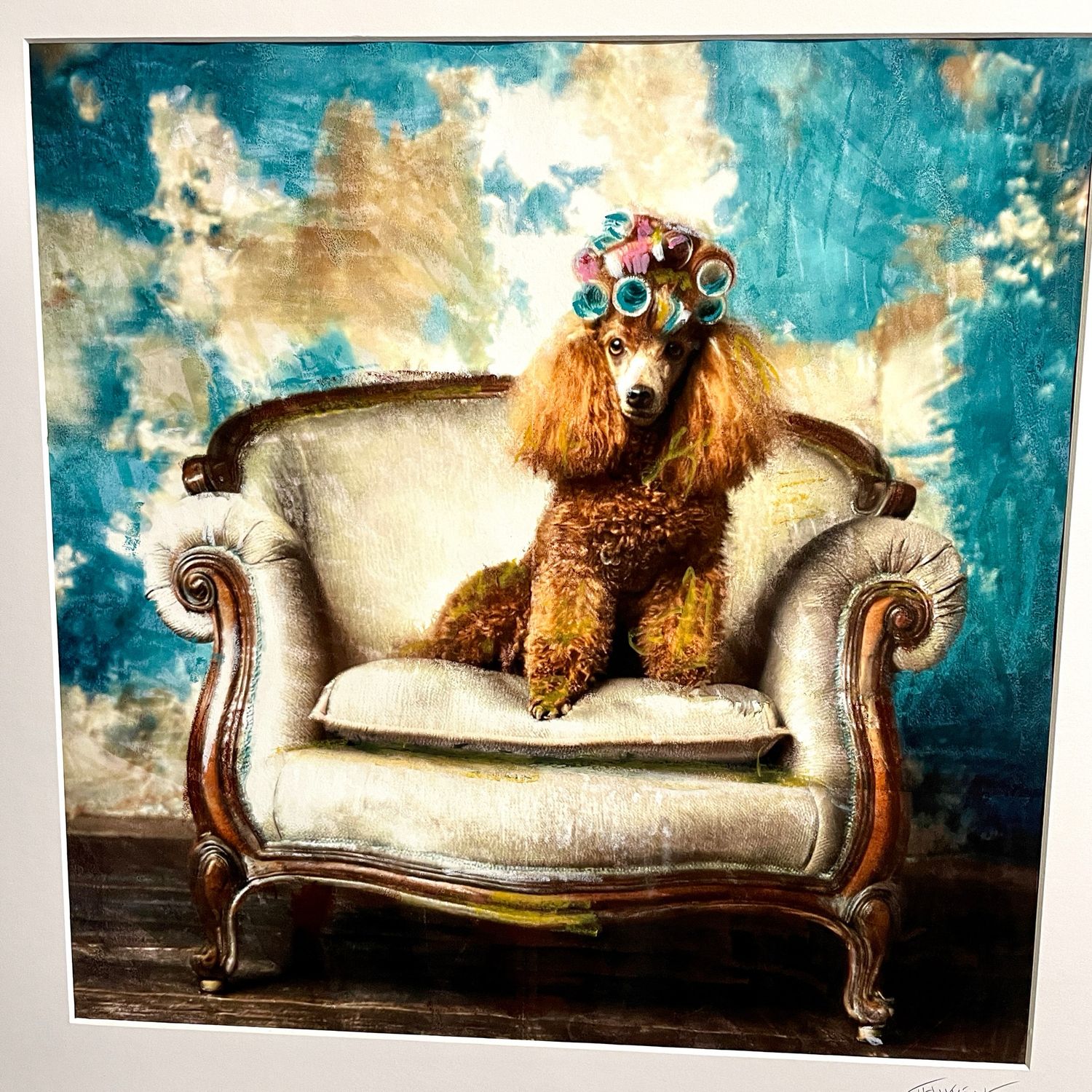 Chien aux bigoudis