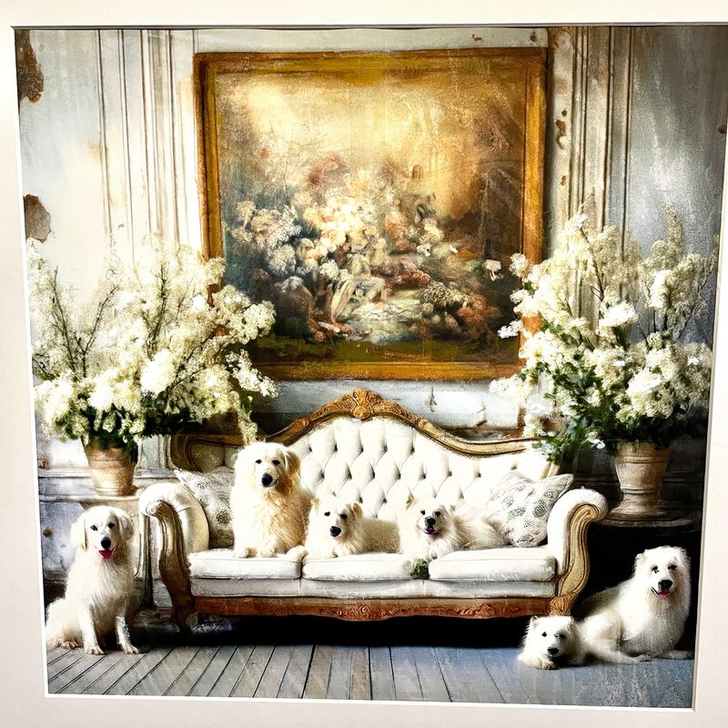 Chiens sur canapé