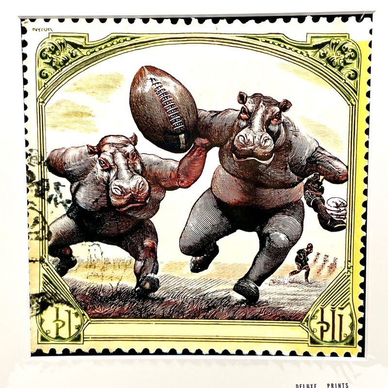 Hippopotames rugby