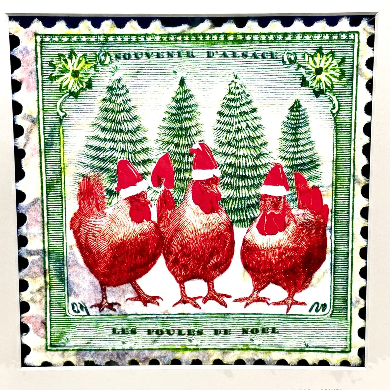 Poules de Noël
