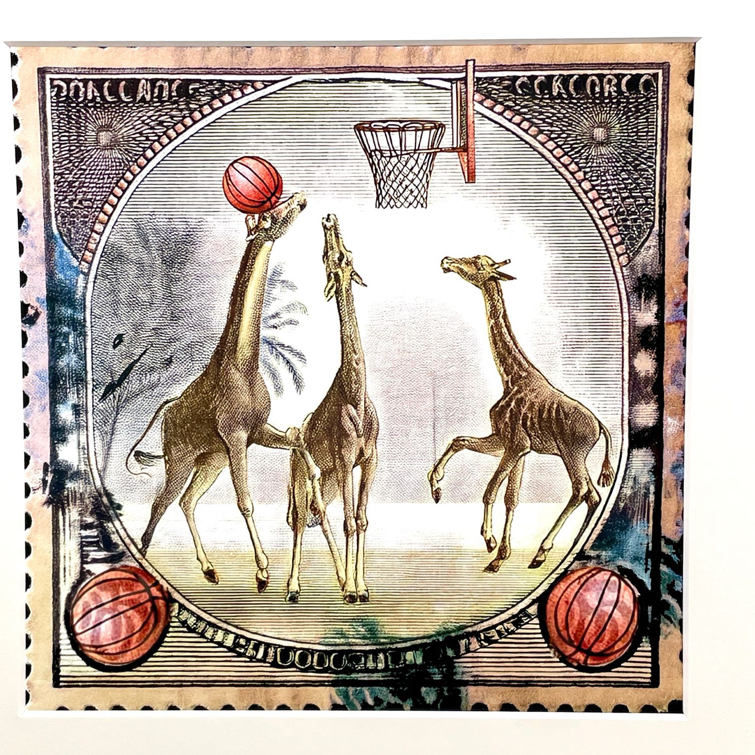 Girafes au basket