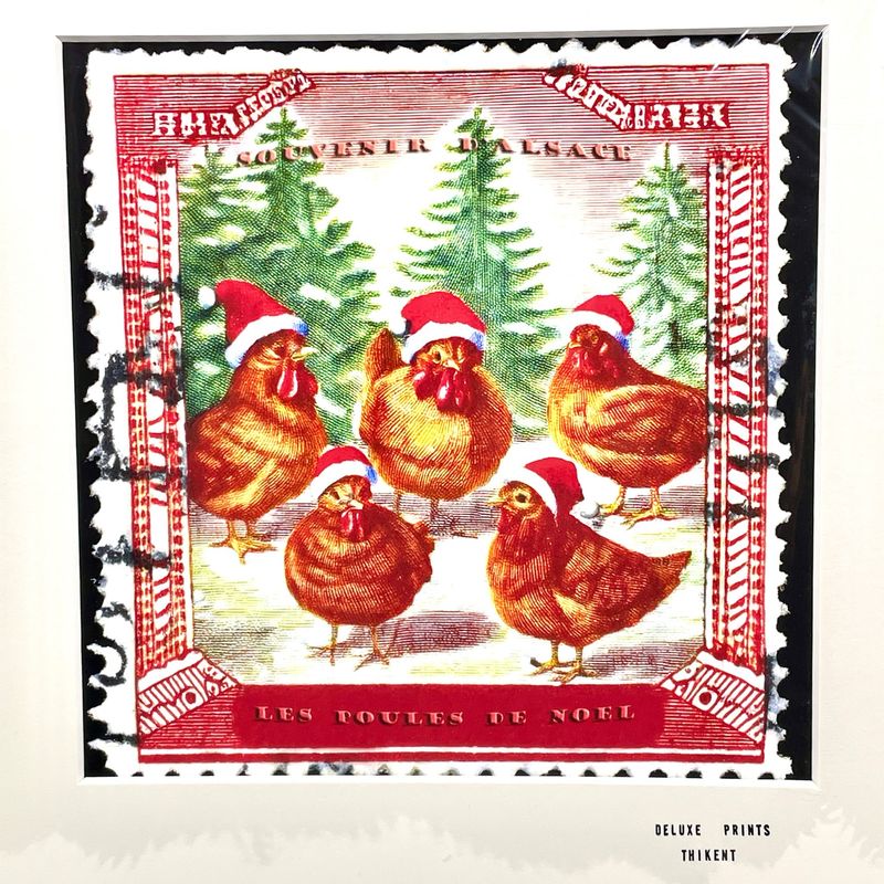 Poules de Noël