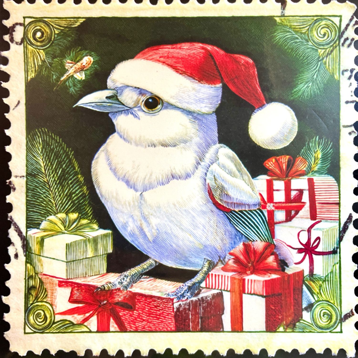 Oiseau Père Noël
