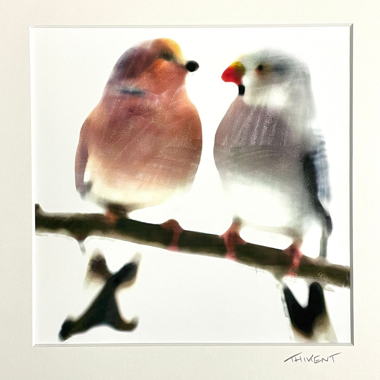 Collection "Birds in love"