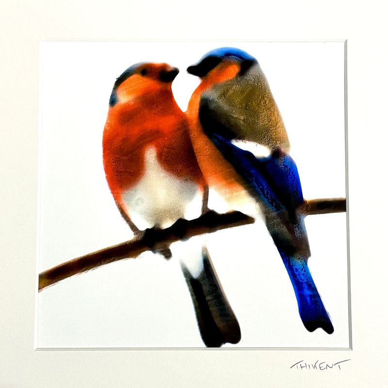 Collection "Birds in love"