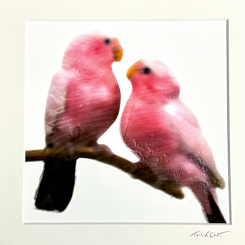 Collection "Birds in love"