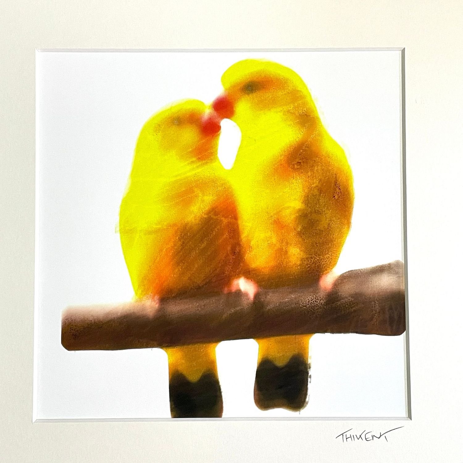 Collection "Birds in love"