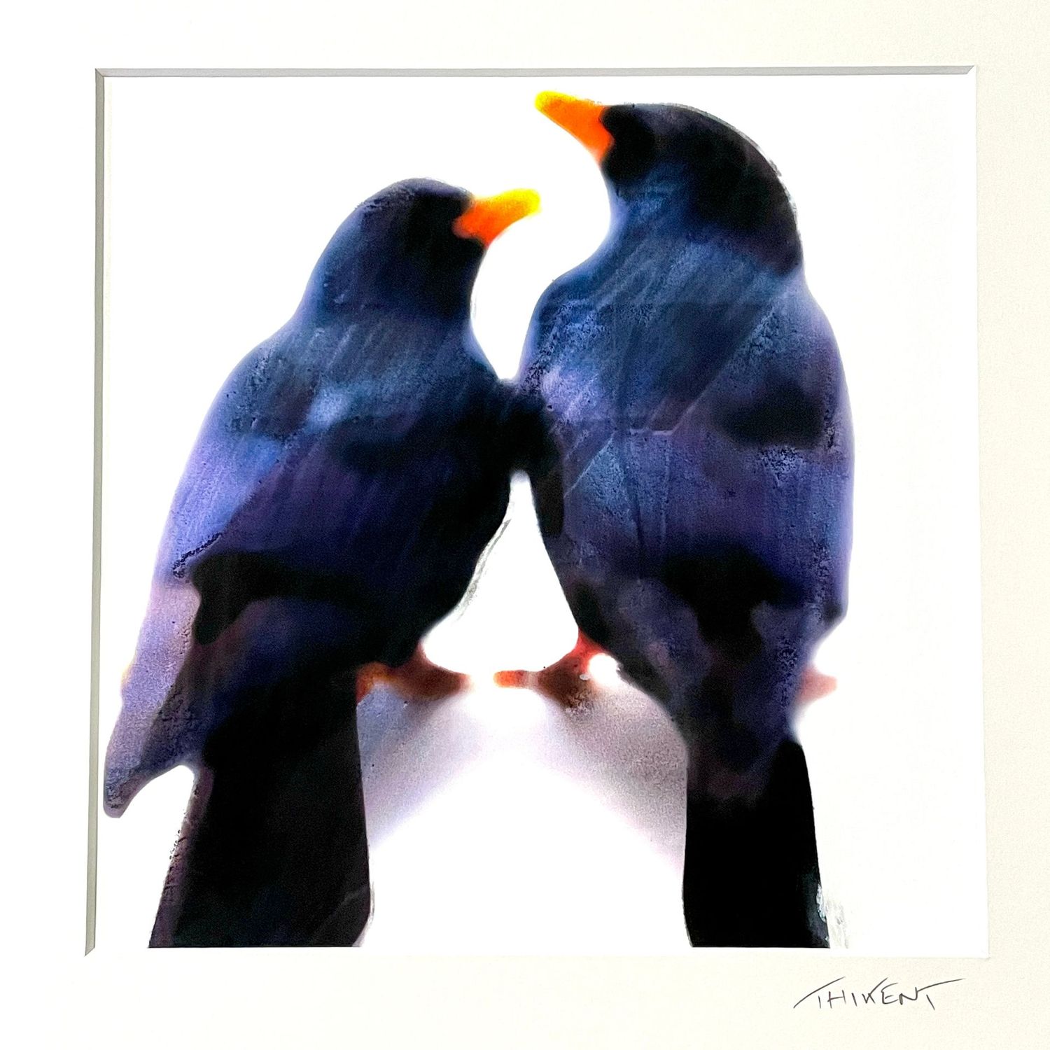 Collection "Birds in love"