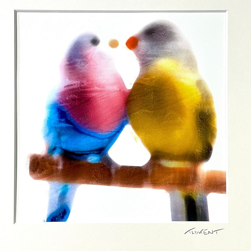 Collection "Birds in love"
