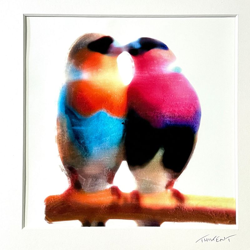 Collection "Birds in love"