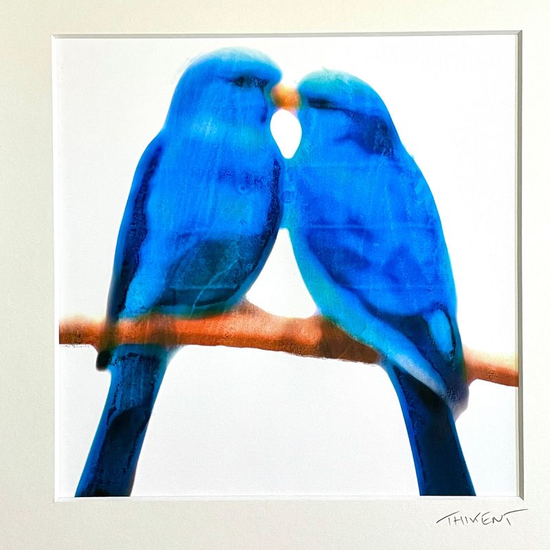 Collection "Birds in love"
