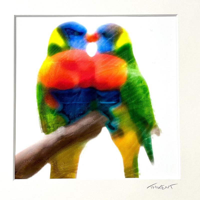 Collection "Birds in love"