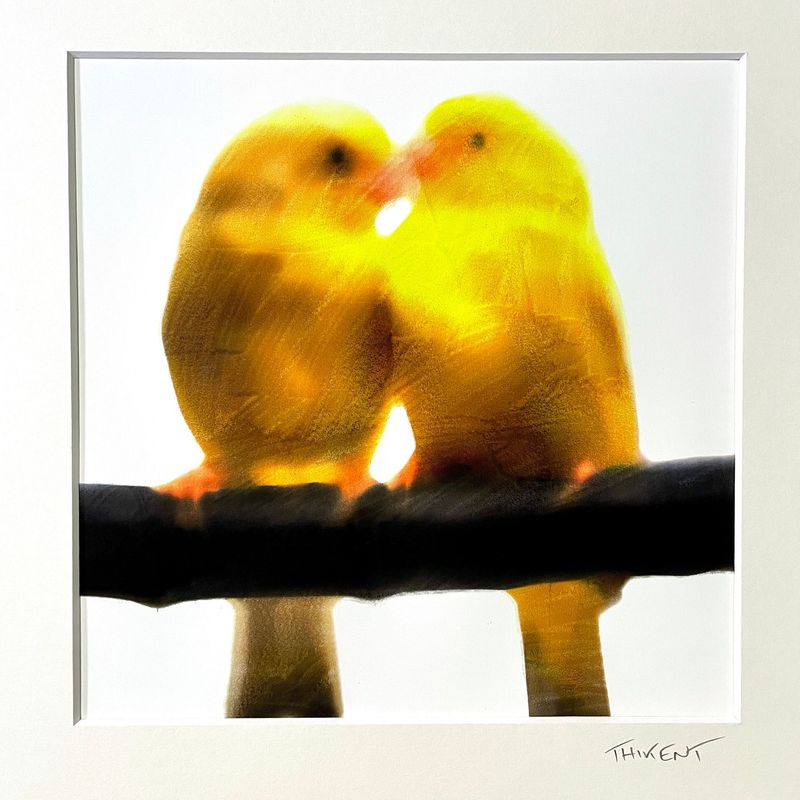 Collection "Birds in love"