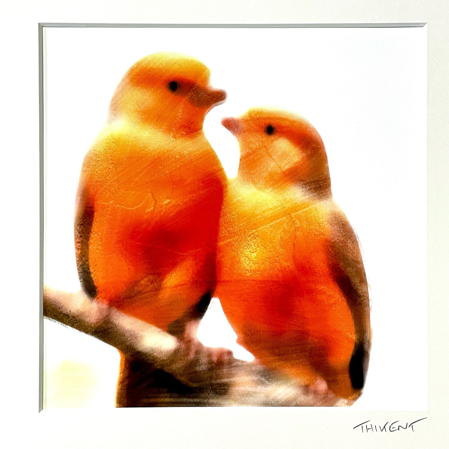 Collection « Birds in love »