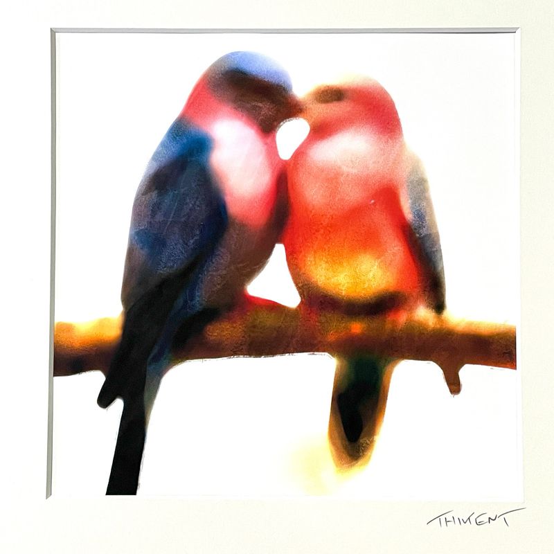 Collection « Birds in love »