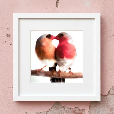 Collection "Birds in Love"