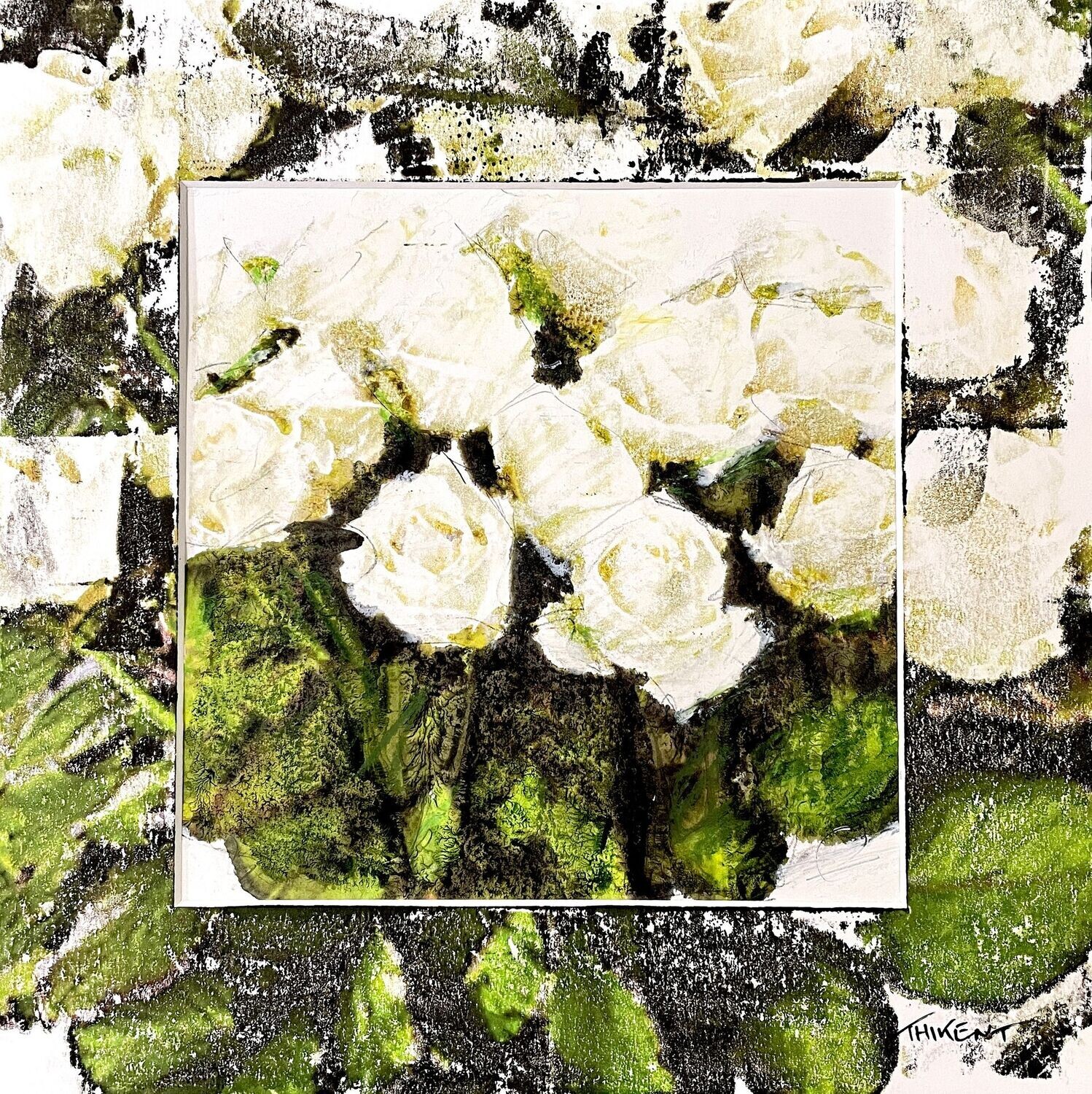Roses blanches Roses blanches