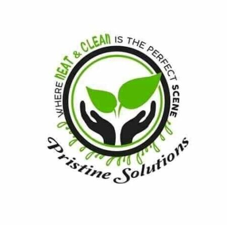 Pristine Solutions Digital Shop