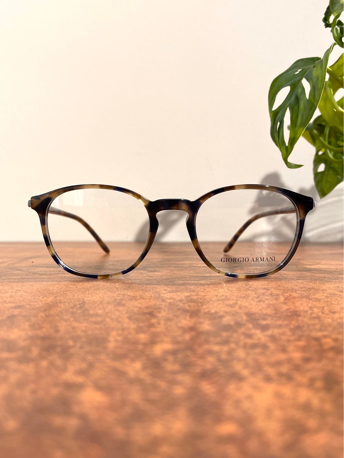 Giorgio Armani AR7213