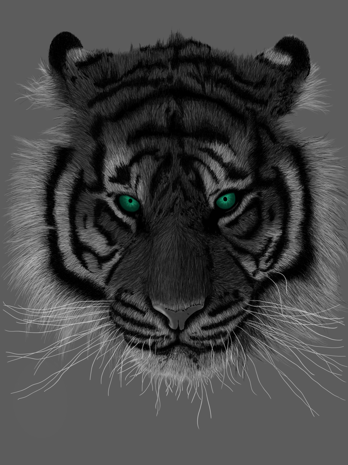 The Tiger