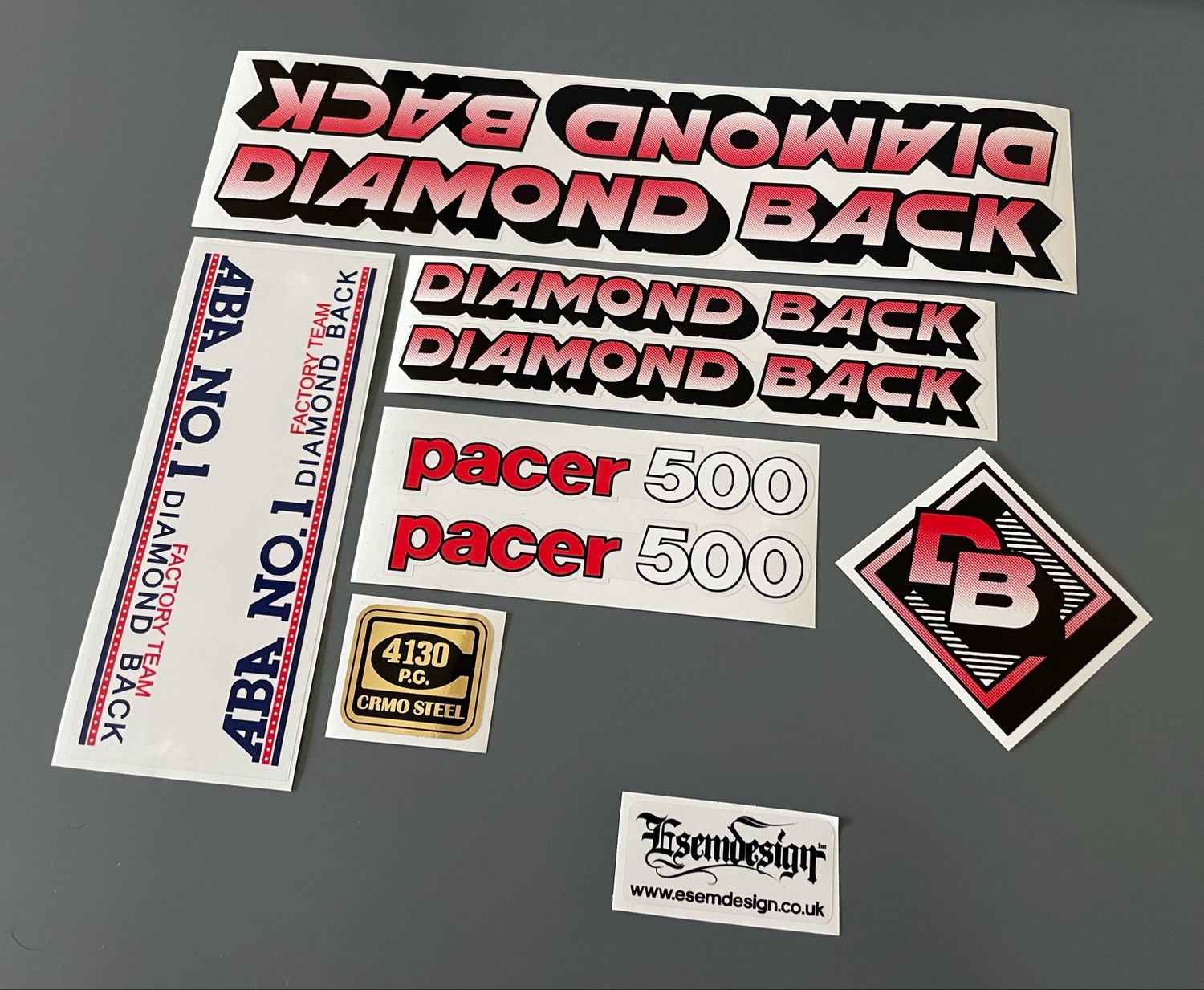Diamond Back Pacer 500 Decal Set