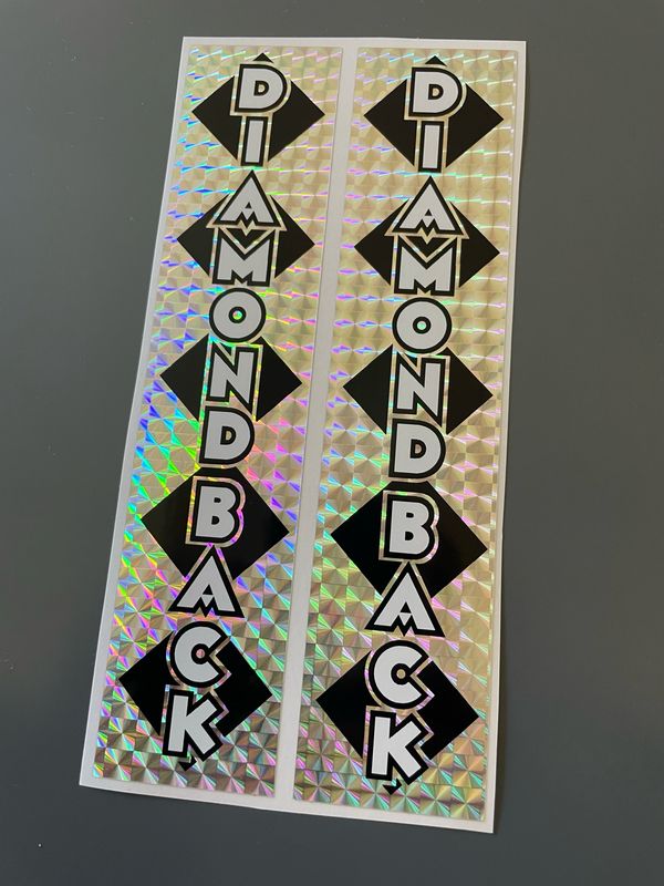 Diamond Back Silver Streak fork decals 