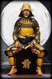 Armadura Yoroi Tokugawa Ieyasu 徳川家康. Armadura Soke