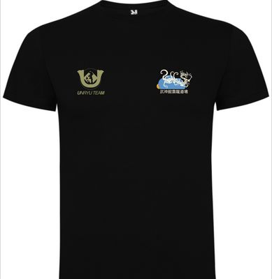 Camiseta dragón team