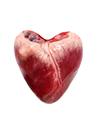 Pork Heart 30lbs