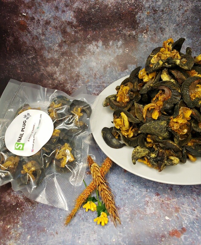 Large Oven-Dried Snail