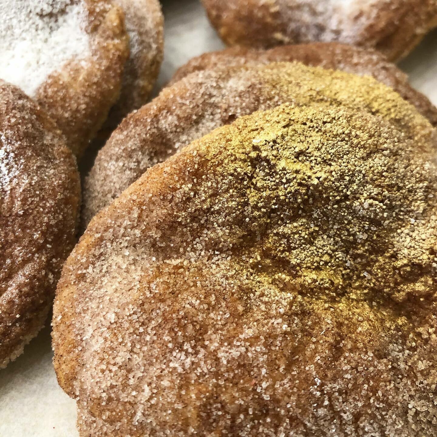 Cinnamon Elephant Ear