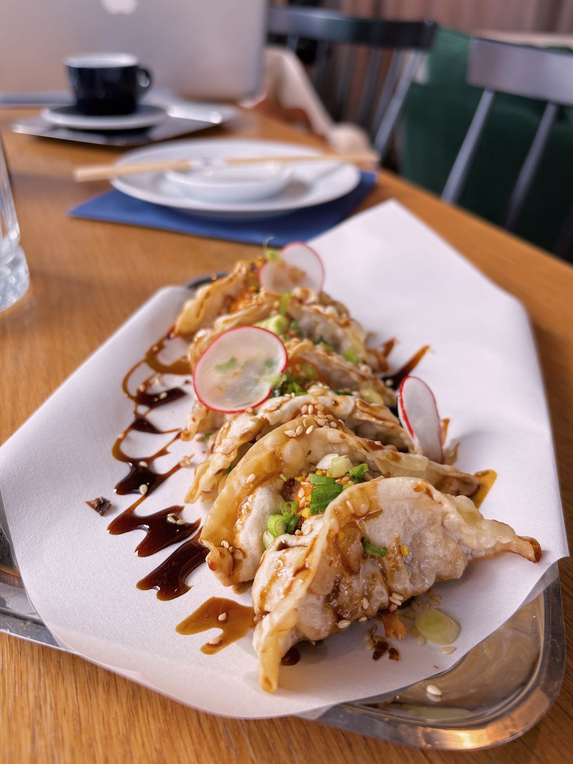 GYOZA KACZKA 6 PC