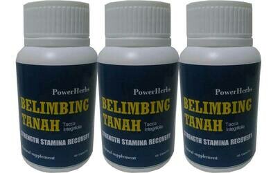 Belimbing Tanah Power Herbs