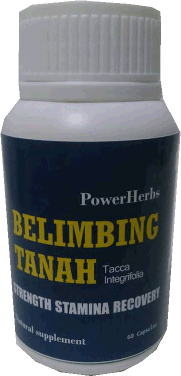 Belimbing Tanah Power Herbs (1 bottle)
