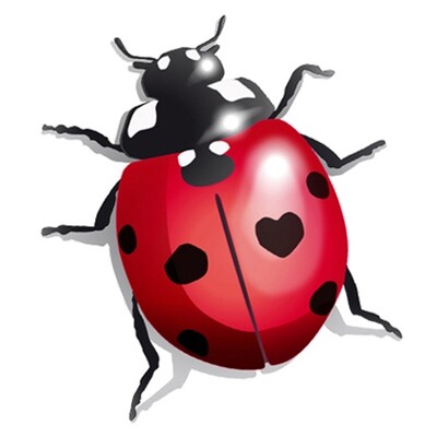 sticker 1 coccinelle rouge ♡
