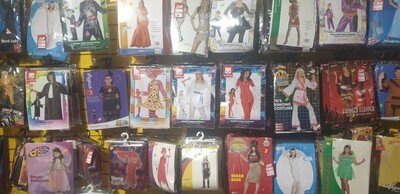 Fancy Dress Costume