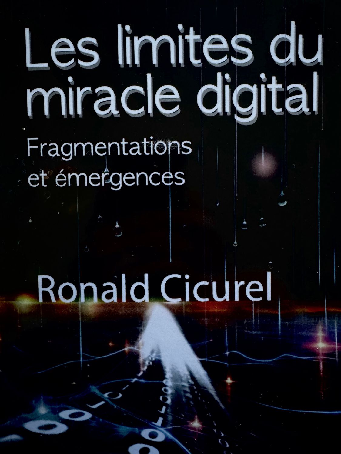 Les Limites du Miracle Digital -Fragmentations et Emergences