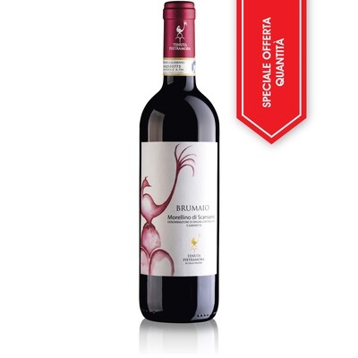 OFFERTA SCONTO  𝗕𝗥𝗨𝗠𝗔𝗜𝗢 - 𝗠𝗼𝗿𝗲𝗹𝗹𝗶𝗻𝗼 𝗱𝗶 𝗦𝗰𝗮𝗻𝘀𝗮𝗻𝗼 𝗗𝗢𝗖𝗚