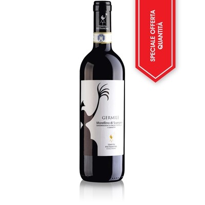 OFFERTA SCONTO 𝗚𝗘𝗥𝗠𝗜𝗟𝗘 – 𝗠𝗼𝗿𝗲𝗹𝗹𝗶𝗻𝗼 𝗱𝗶 𝗦𝗰𝗮𝗻𝘀𝗮𝗻𝗼 𝗗𝗢𝗖𝗚