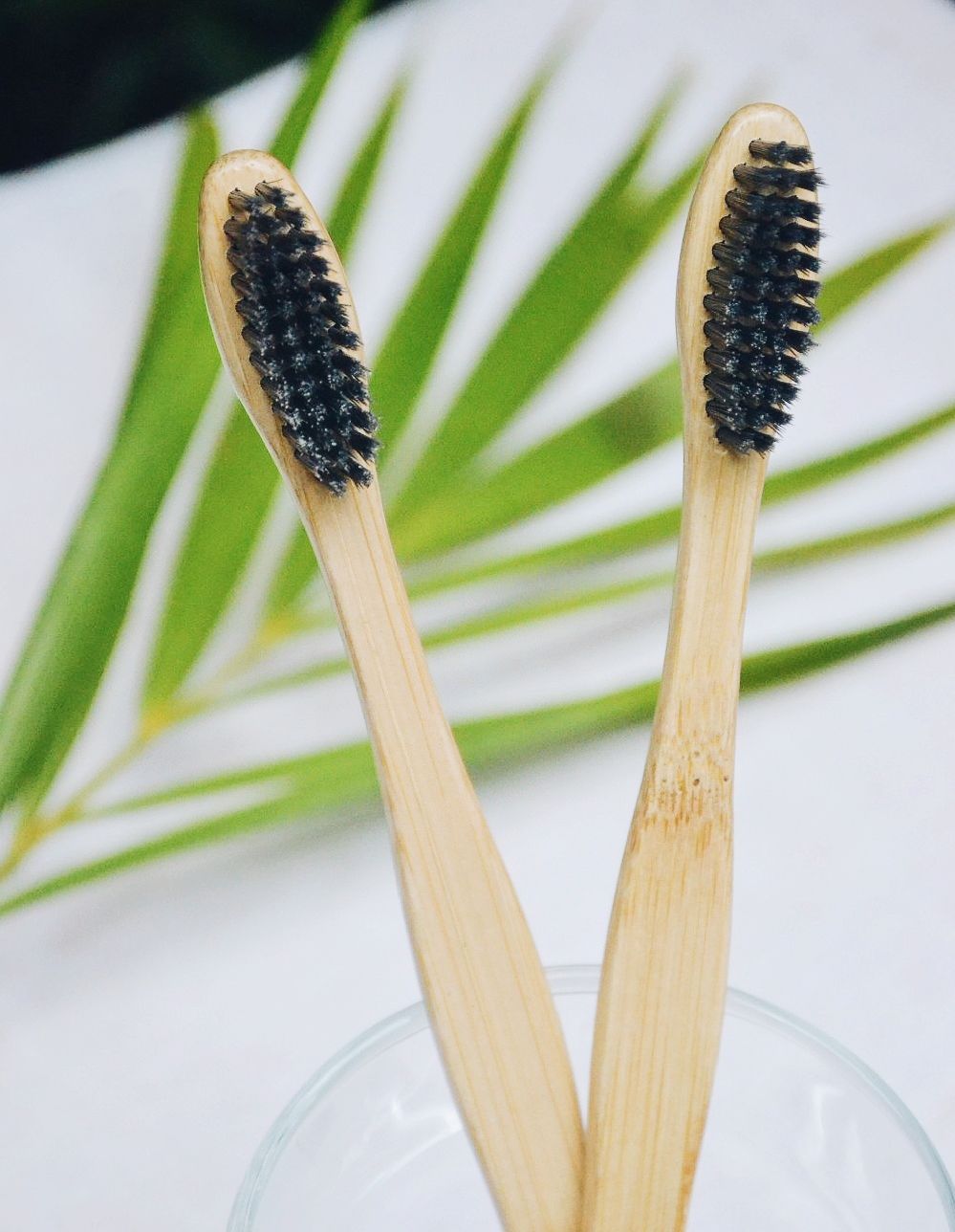 Bamboo toothbrush