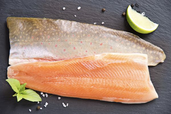 Frisches Saiblingsfilet (+/-250g)