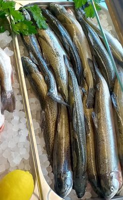 Frische Regenbogenforelle küchenfertig (+/- 380g)