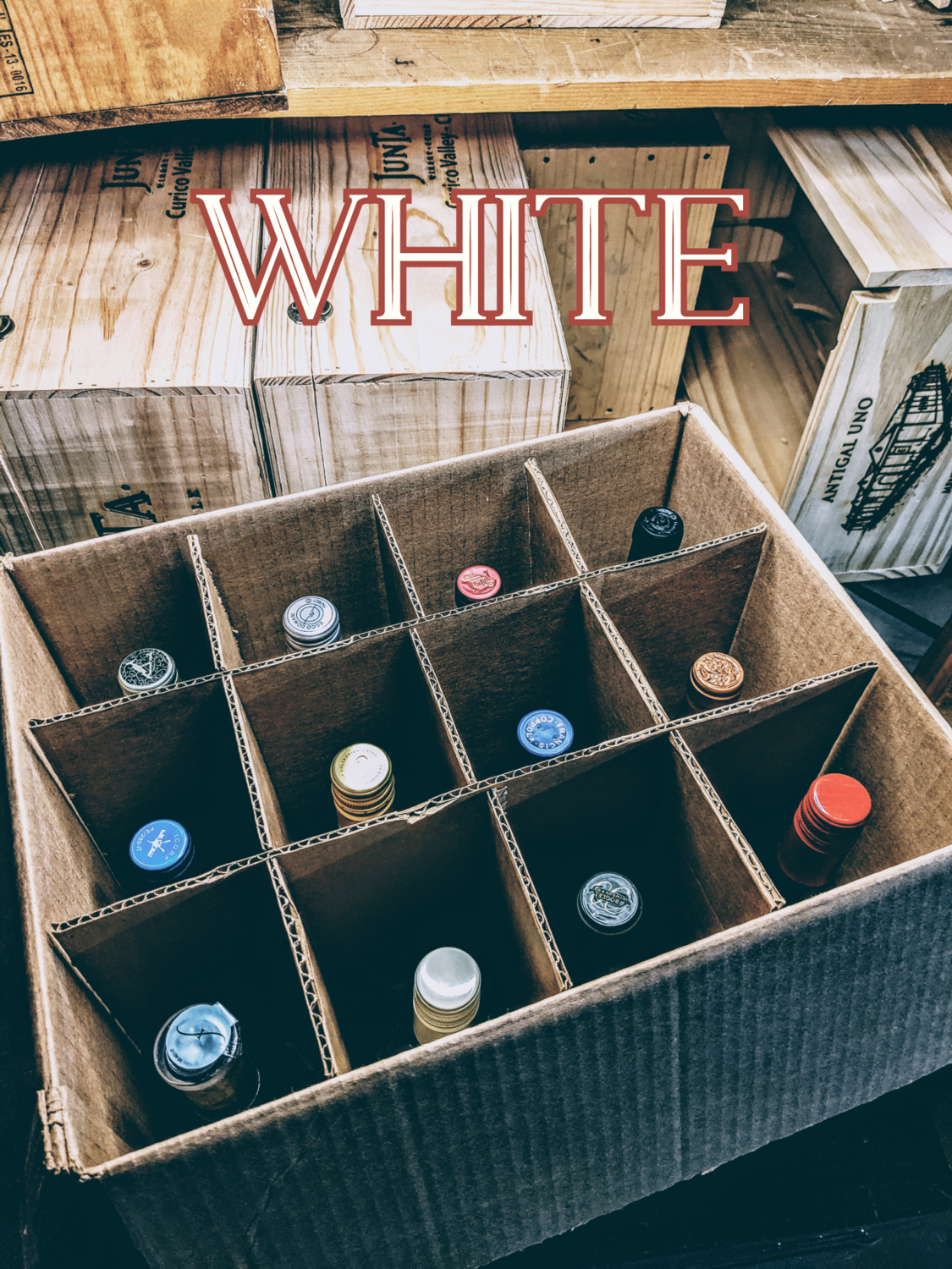 "White Wines of the World" 12 Bottle Wine Case Deal