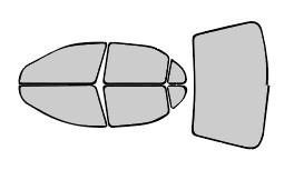 Acura TL 1995-1998 Photochromatic Windows Tint Kits