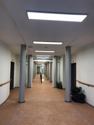 145x1195mm, 36W, silber