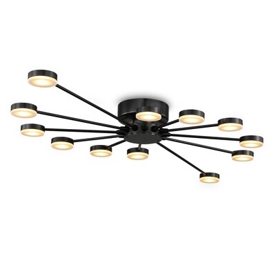 PROLUCE®  Deckenleuchte LBL169, 12x3W, 1440lm, Acryl Diff., Alu+Acryl, schwarz elox., D900 H70